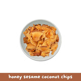 Reelfruit Organic, Vegan & Gluten Free Honey Sesame Toasted Coconut Chips 100g Combo (Pack of 5)