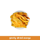 Reelfruit Organic, Vegan & Gluten Free Gently Dried Mango 100g Combo (Pack of 5)