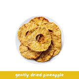 Reelfruit Organic, Vegan & Gluten Free Gently Dried Pineapple 100g Combo (Pack of 5)