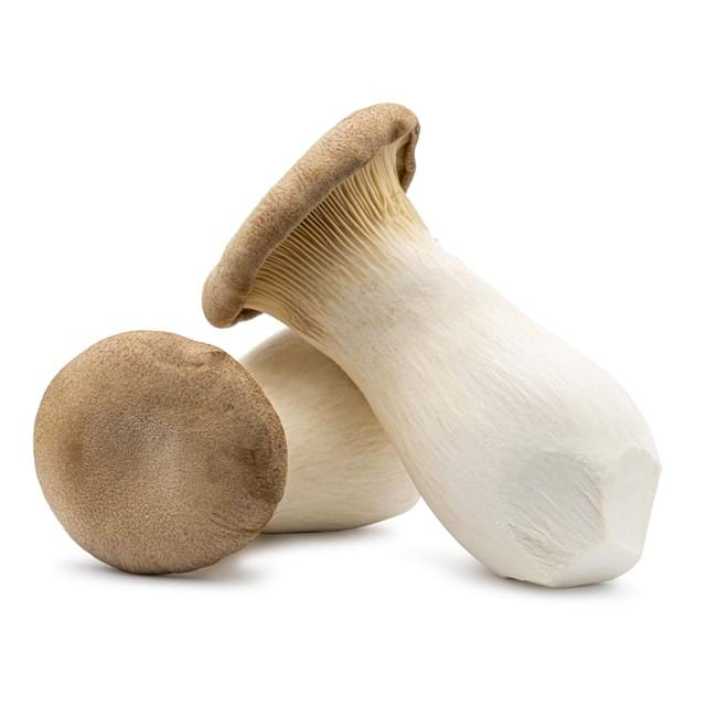 Buy Oyster King Mushroom 200g Online | QualityFood UAE